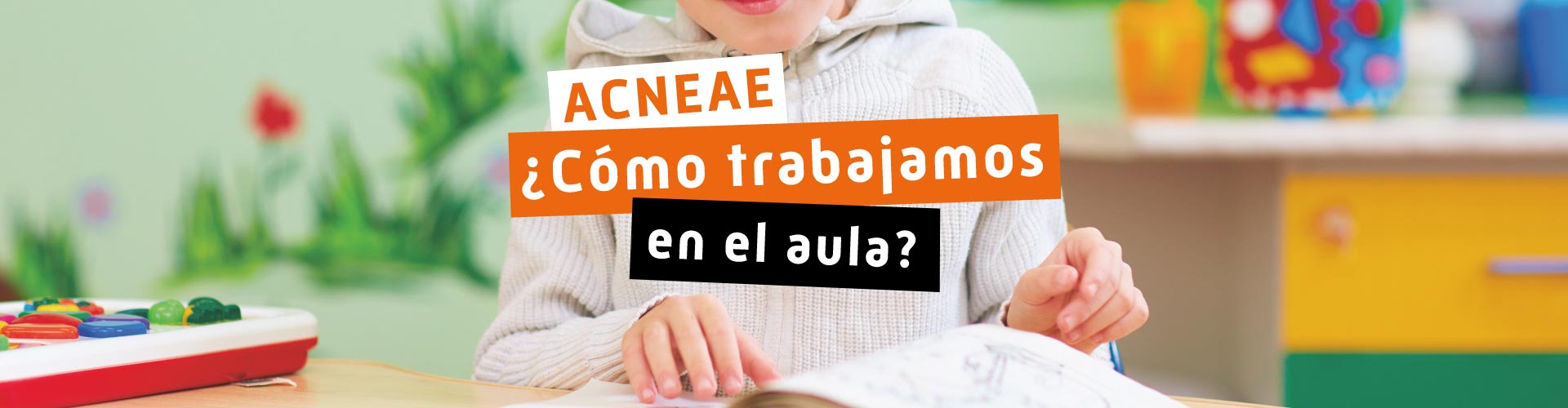 Qué es un alumno ACNEAE y cuáles son sus necesidades
