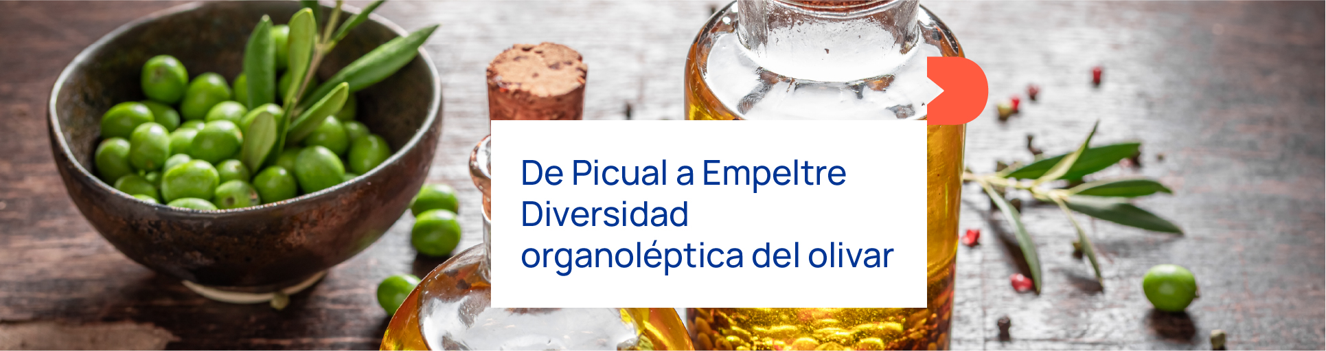 De Picual a Empeltre: Diversidad organoléptica del olivar