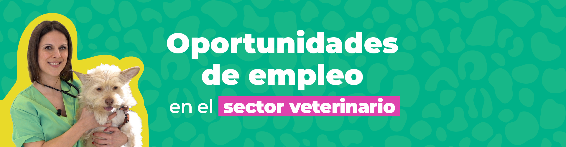 Oportunidades de empleo en el sector veterinario