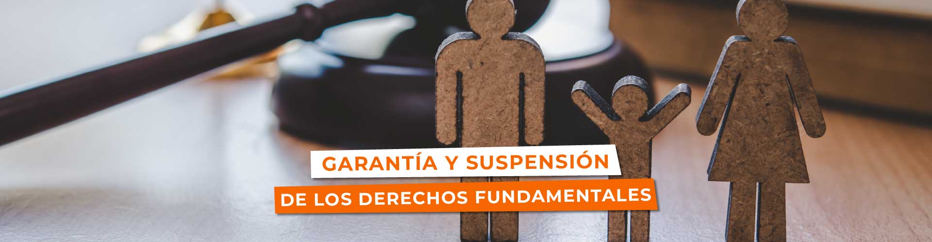 Garantía y suspensión de los derechos fundamentales