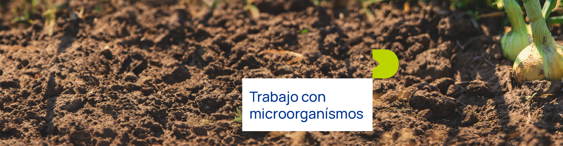 Casos prácticos de trabajo con microorganismos