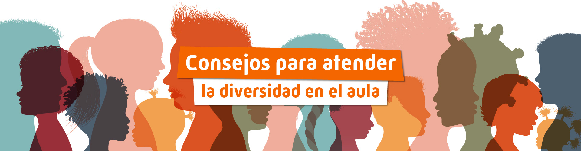 Diversidad en el aula