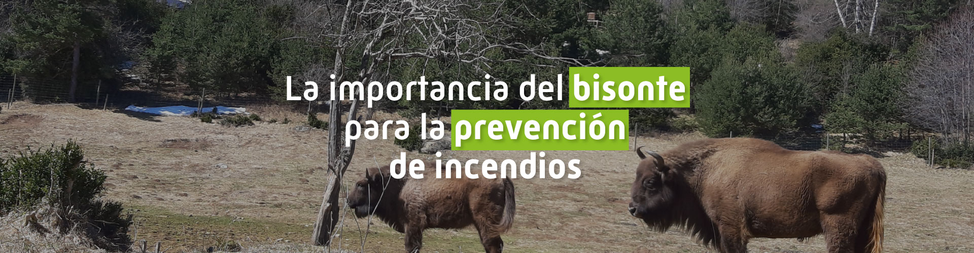 Prevención de incendios