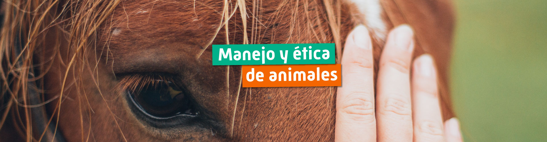 Manejo y ética en animales