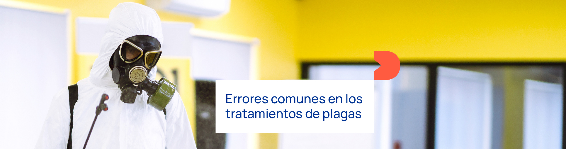Errores comunes en los tratamientos de plagas