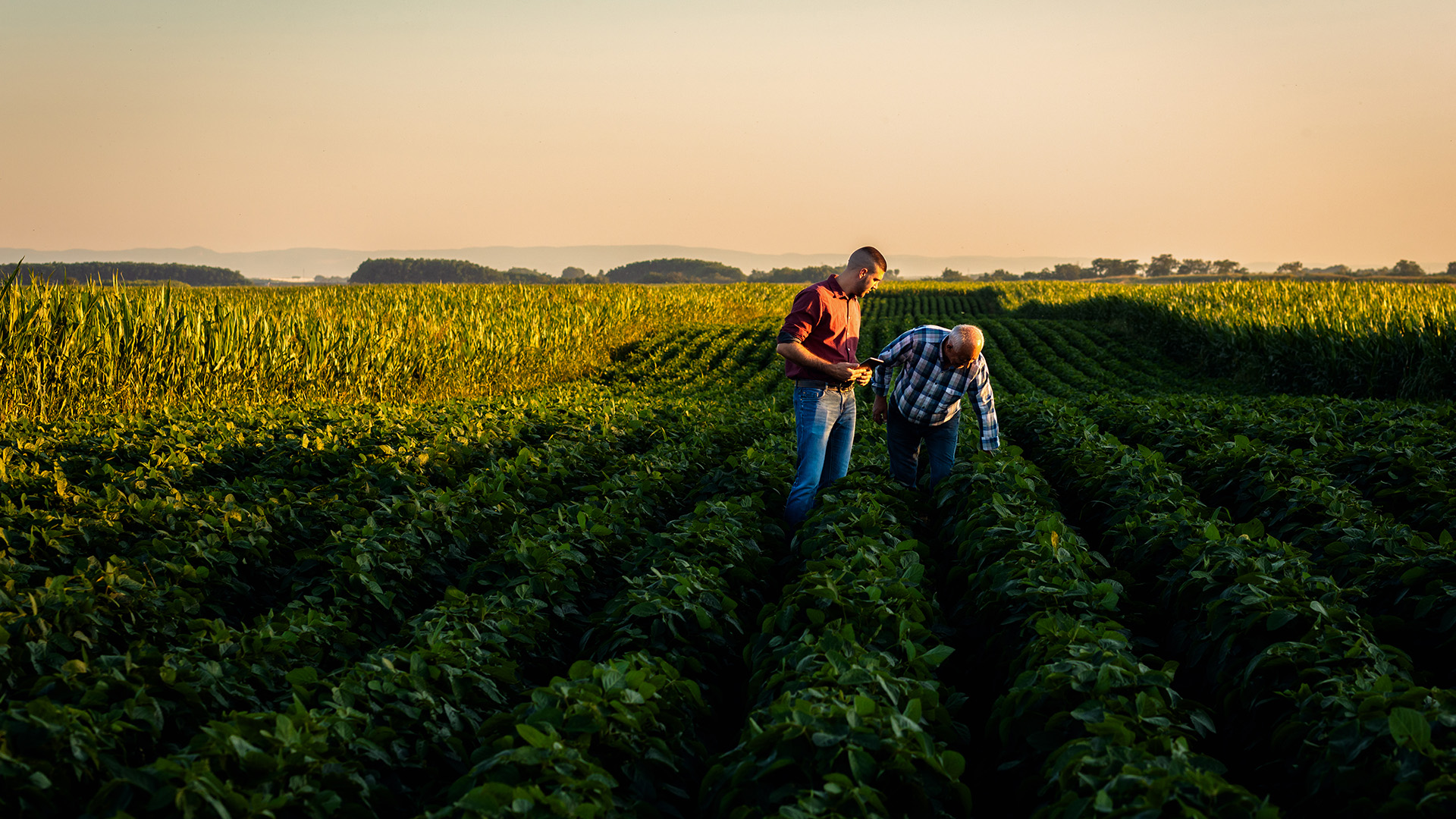 Tecnología y Talento. El futuro del sector agroalimentario
