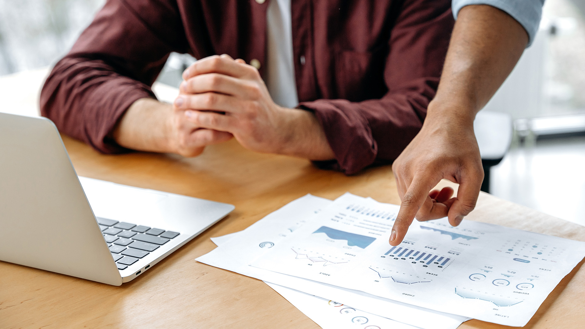 Economía para principiantes