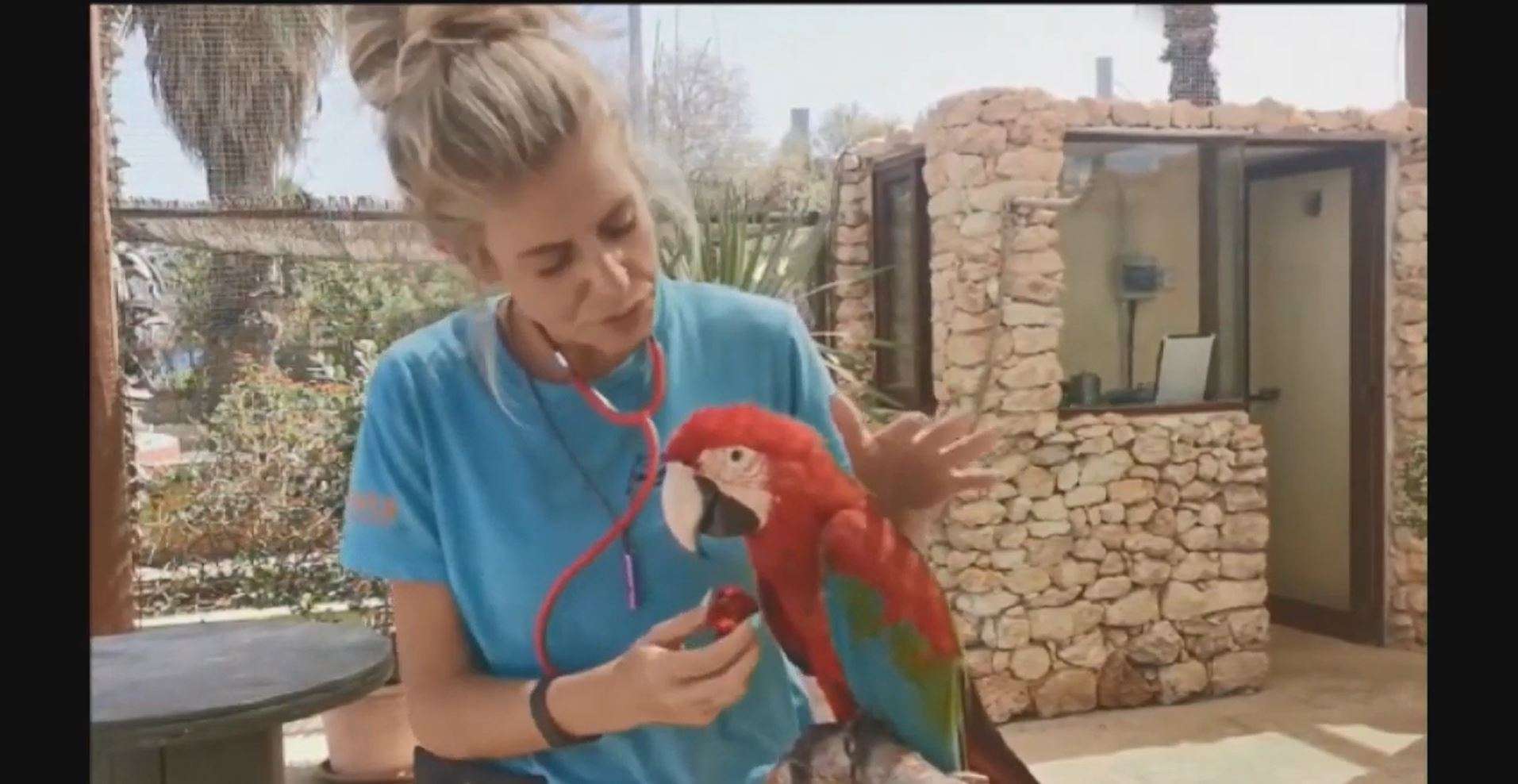 Bienestar animal en zoos