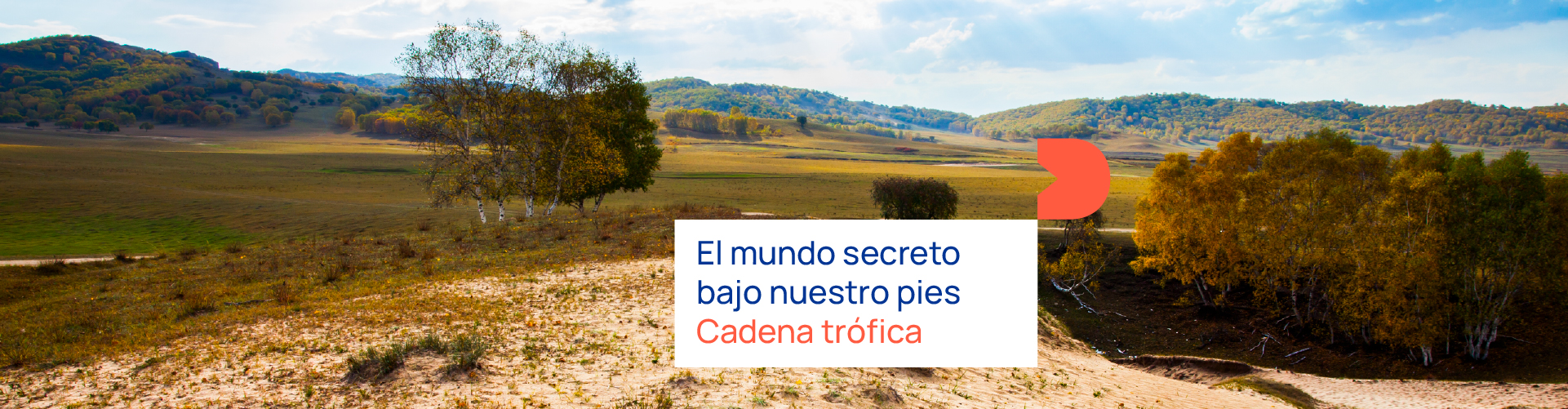 Cadena trófica