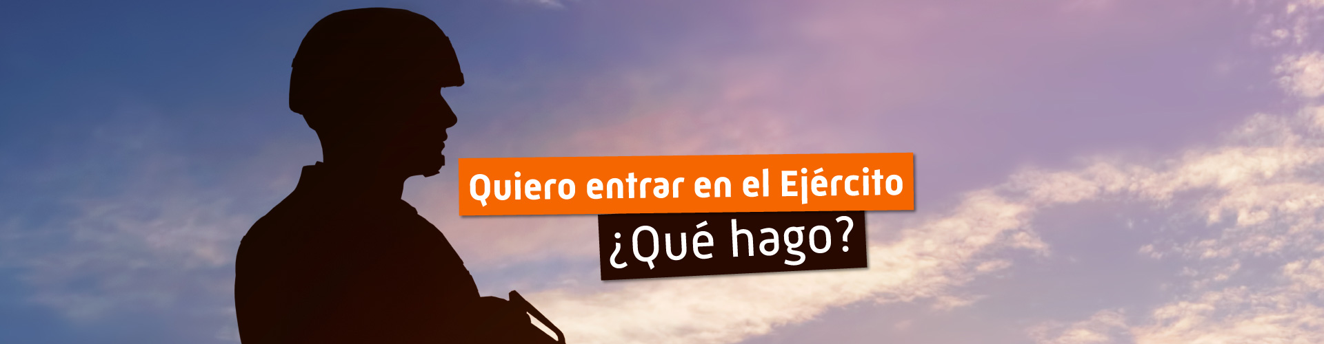 acceso Ejército Español