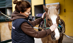 Opiniones cursos veterinaria Opiniones cursos veterinaria